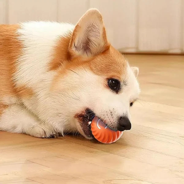 PupPlay™ - Automatic Smart Teasing Dog Ball (50% DISCOUNT)