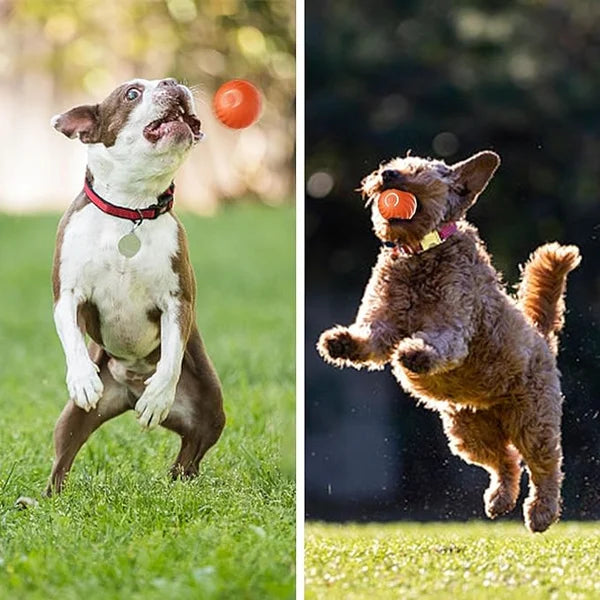 PupPlay™ - Automatic Smart Teasing Dog Ball (50% DISCOUNT)