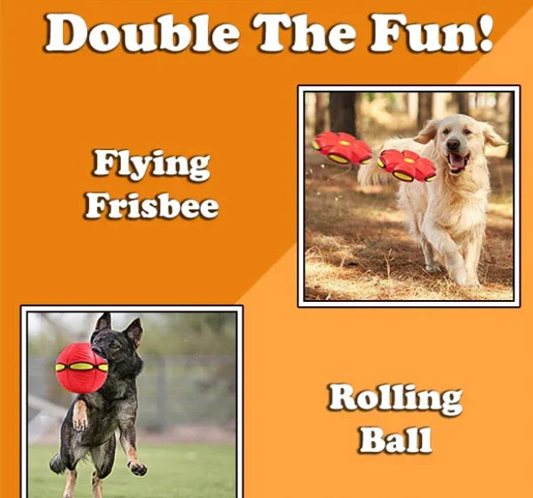 FurryFlyer™ - The Disc Ball for Dogs 1+1 FREE