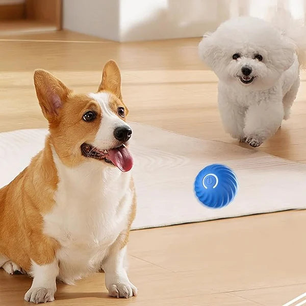 PupPlay™ - Automatic Smart Teasing Dog Ball (50% DISCOUNT)