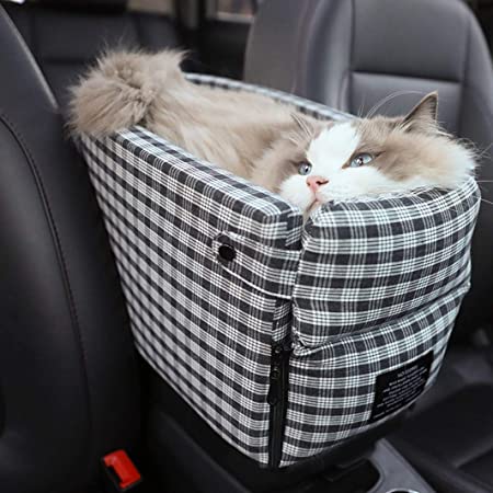 PetSafe™ - Safety and Comfort in One