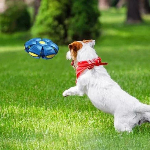 FurryFlyer™ - The Disc Ball for Dogs 1+1 FREE