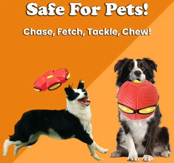FurryFlyer™ - The Disc Ball for Dogs 1+1 FREE