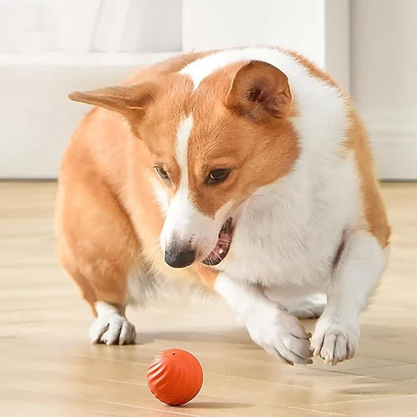 PupPlay™ - Automatic Smart Teasing Dog Ball (50% DISCOUNT)